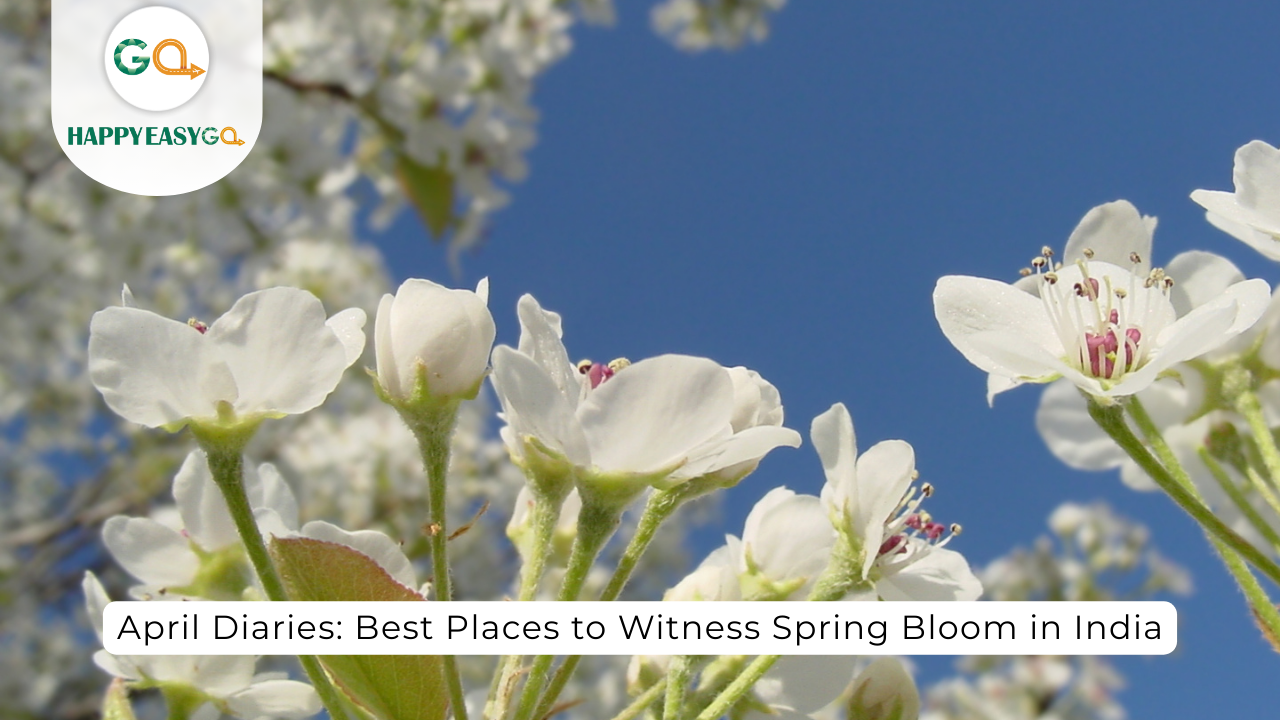 April Diaries Best Places to Witness Spring Bloom in India