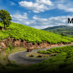 Munnar in May: Explore the Tea Gardens and Misty Hills