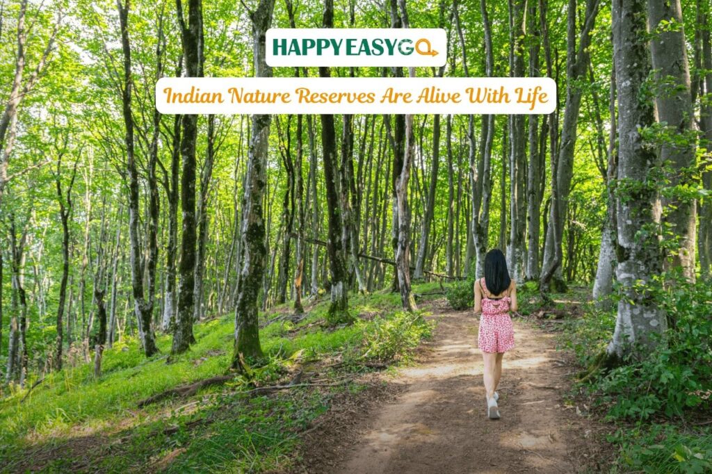 Indian Nature Reserves Are Alive With Life