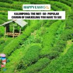 Kalimpong: The Not-So-Popular Cousin of Darjeeling You Have to See