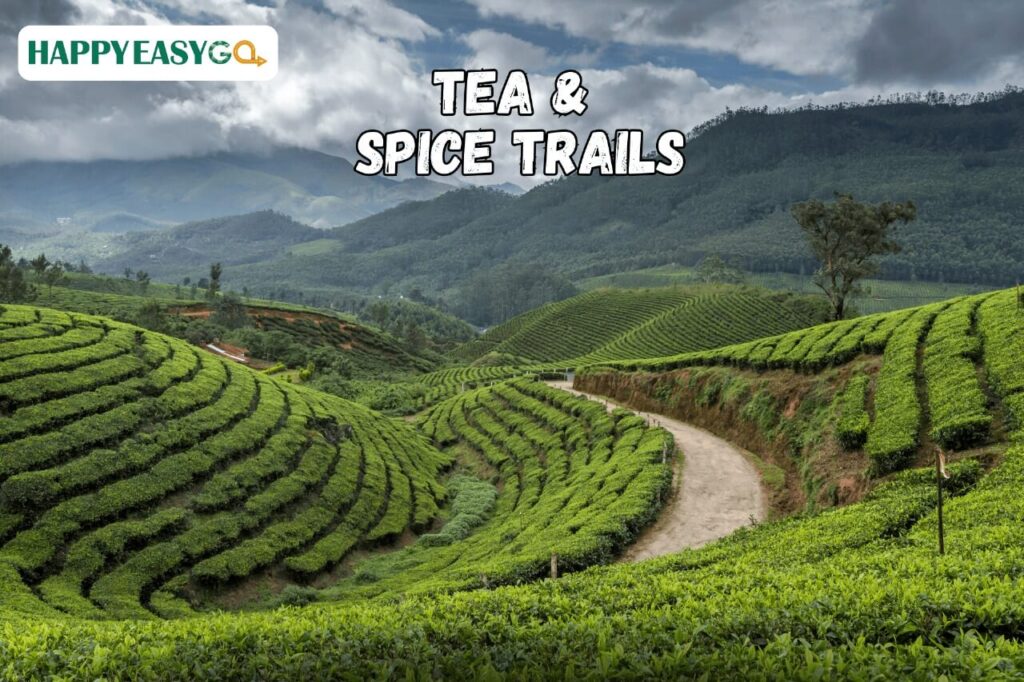 Tea and Spice Trails Fly to India's Aromatic Plantations