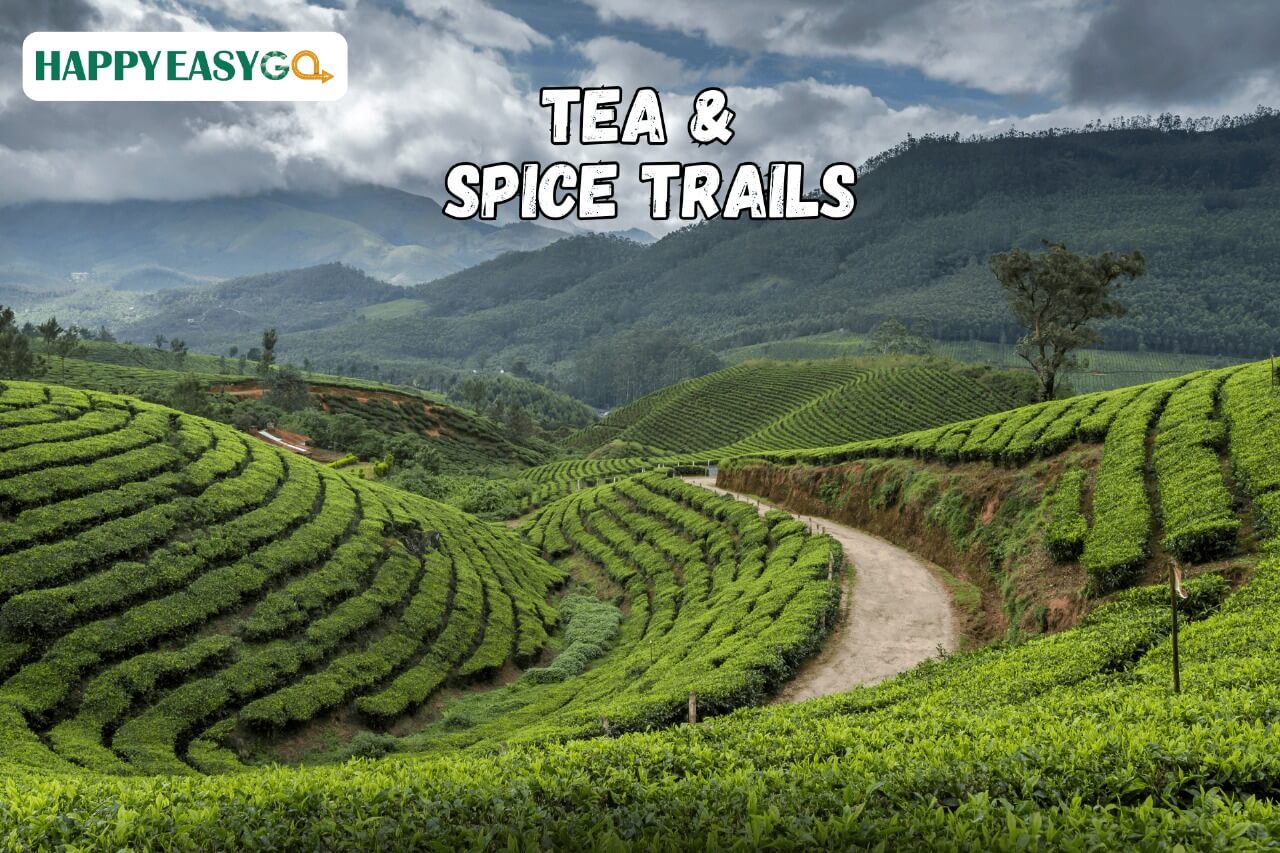 Tea and Spice Trails Fly to India's Aromatic Plantations